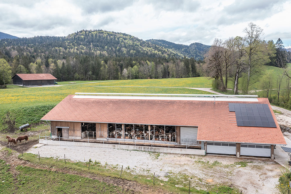 Bauunternehmung-Karl-Gerg-Projekt-Neubau-Laufstall-Seitenansicht